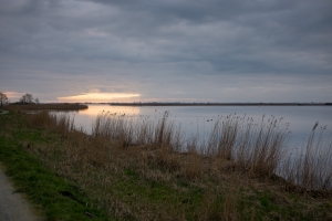 Friesland104