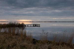 Friesland106