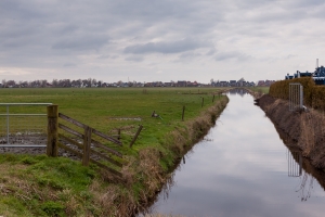 Friesland118